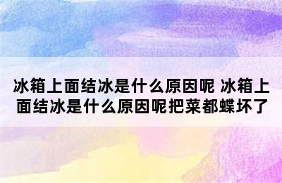 冰箱上面结冰是什么原因呢 冰箱上面结冰是什么原因呢把菜都蝶坏了